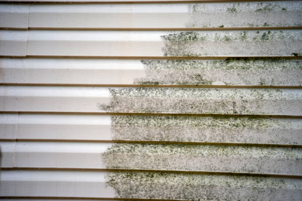 Best Foreclosure Cleanout  in Macarthur, WV